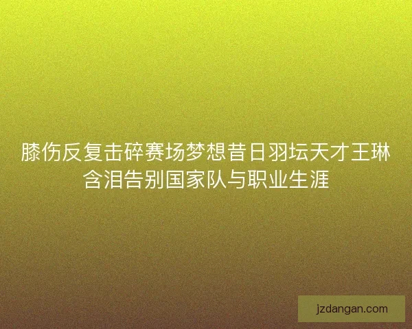 膝伤反复击碎赛场梦想昔日羽坛天才王琳含泪告别国家队与职业生涯